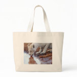 African Lions reflection Tote Bags
