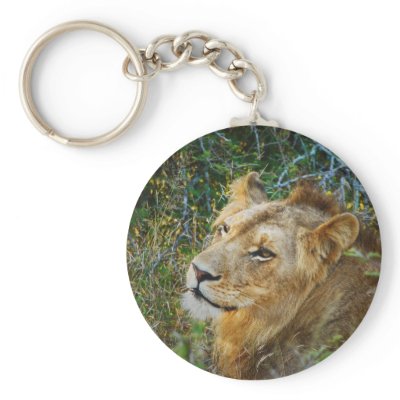 African male lion keyrings & keychains by Rowood