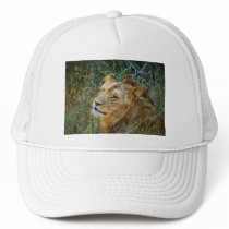 African male lion peak caps & hats