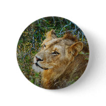 African male lion safari buttons & badges