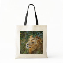 African male lion tote bags