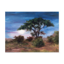 African Moon Postcard