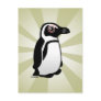 African Penguin