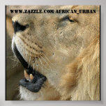 african poster