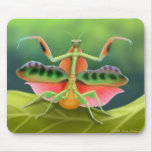 African Praying Mantis Mousepad
