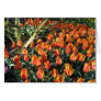 African proverb and flame tulips greeting cards