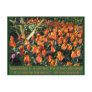 African proverb and flame tulips post card