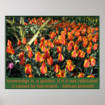 African proverb and flame tulips. poster