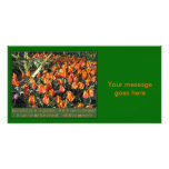 African Proverb Custom Photo Card