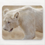 African prowling  white lion mousepads