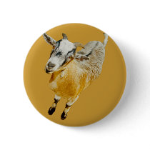 African Pygmy Goat Pin