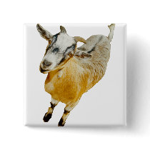 African Pygmy Goat Button