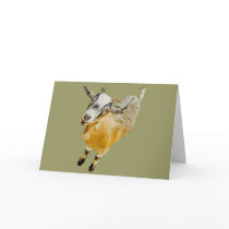 African Pygmy Goat Greeting Card