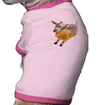 African Pygmy Goat pet clothing
