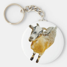 African Pygmy Goat Keychains