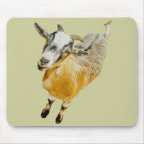 African Pygmy Goat Mouse Pads