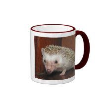 African Pygmy Hedgehog Mug
