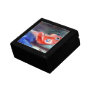 African Rainbow Lizard aceo Gift Boxes