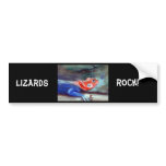 African Rainbow Lizard Bumper Sticker bumper stickers