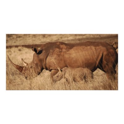 African Rhino mum and baby Customized Photo Card by laureenr