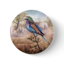 African Roller Button