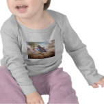 African Roller Infant Tshirt