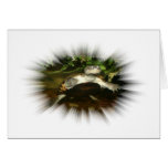 African Side Necked Turtle in a burst frame Greeting Card