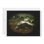 African Side Necked Turtle Photograph Custom Invitations