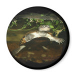 African Side Necked Turtle Photograph magnets