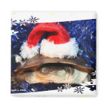 African Sideneck Turtle wearing a santa hat Refrigerator Magnets