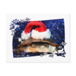 African Sideneck Turtle wearing a santa hat Postcard