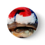 African sideneck turtle wearing santa hat buttons