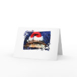 African sideneck turtle wearing santa hat cards