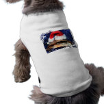 African sideneck turtle wearing santa hat pet clothing