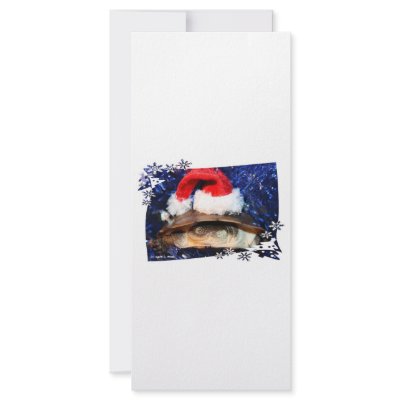 African sideneck turtle wearing santa hat customized rack card by SusansZooCrew