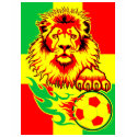 African Soccer Lion t-shirts