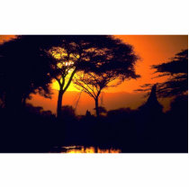 African sunset, Arusha National Park, Tanzania Cut Outs