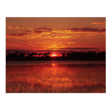 African sunset Botswana postcards