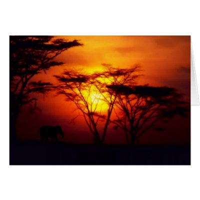 African Sunset Card by annaleeblysse