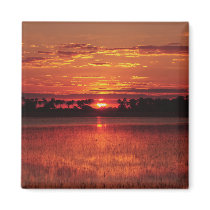 African sunset magnets