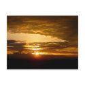 African Sunset postcards