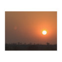 African Sunset postcards