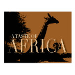 African Themed Party Invitation Postcard