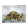 african tortoise post card cards postcards turtle