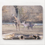 African Velt mousepads