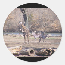 African Velt Round Stickers