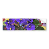 African violet bumper sticker