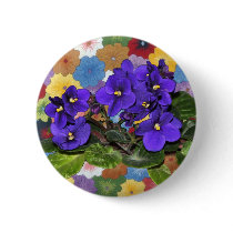 African violet buttons