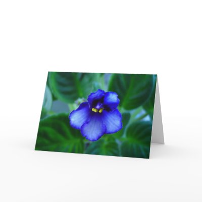 African Violet Greeting Card by KARIHALLFORD