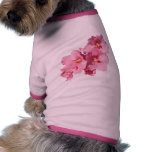 African Violet pet clothing